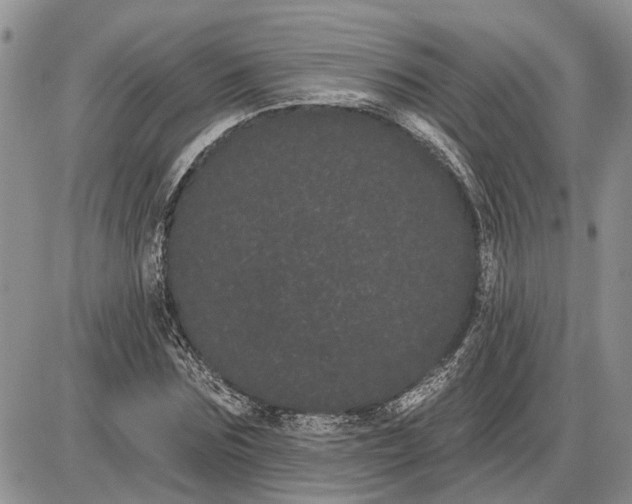 X0000085220875200703231530