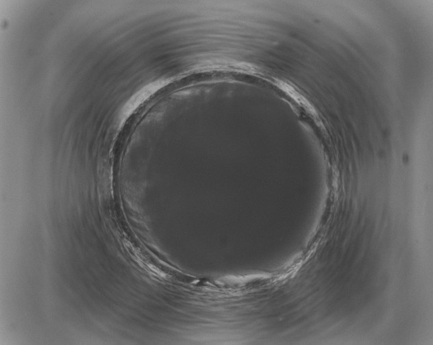 X0000085220877200703231530