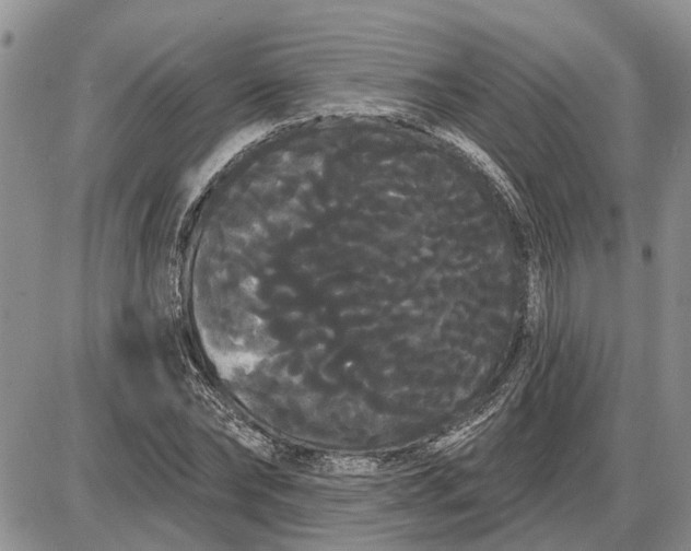 X0000085220878200703231530