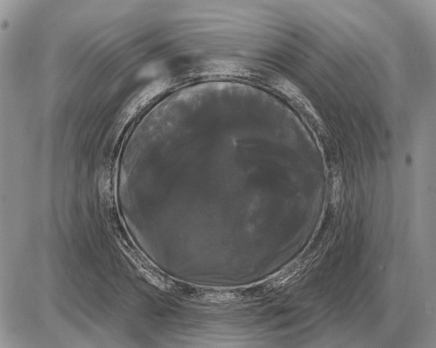 X0000085220882200703231530