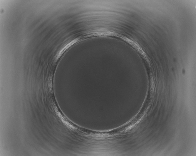 X0000085220889200703231530