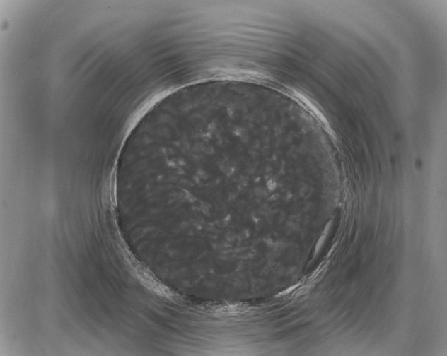 X0000085220891200703231530