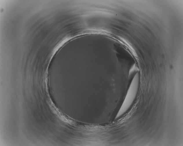 X0000085220899200703231529