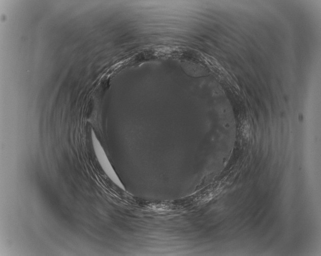 X0000085220914200703231528
