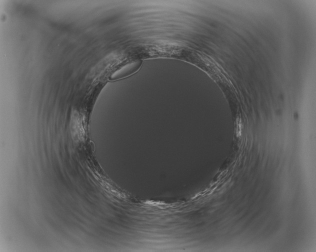 X0000085220915200703231528