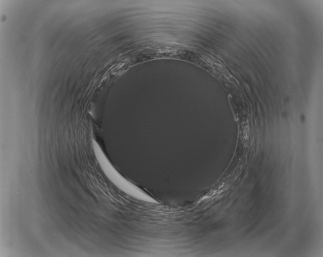 X0000085220916200703231528