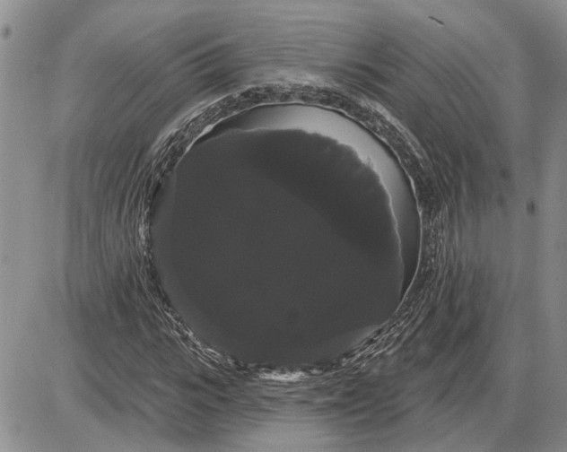 X0000085220919200703231528