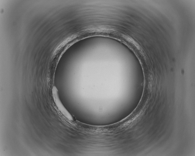 X0000085220922200703231529