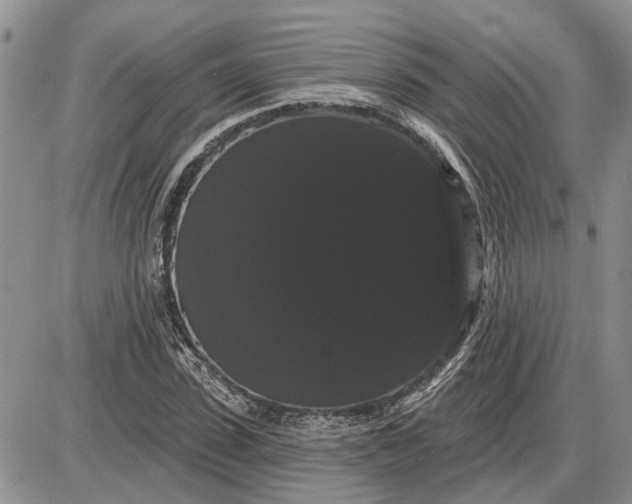 X0000085220923200703231529