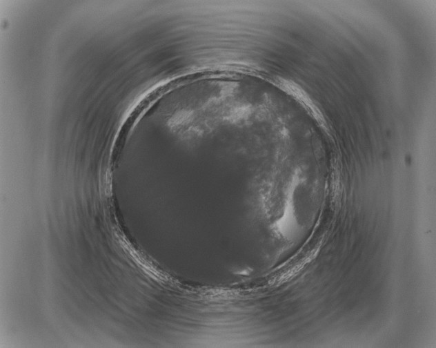 X0000085220924200703231529