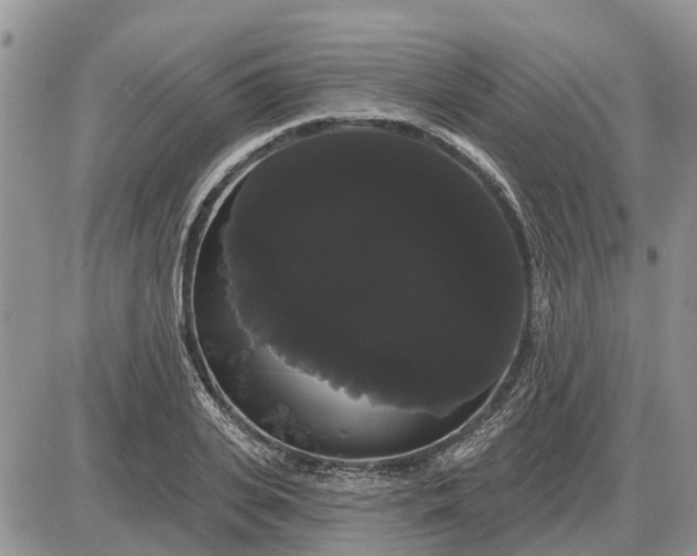X0000085220935200703231529