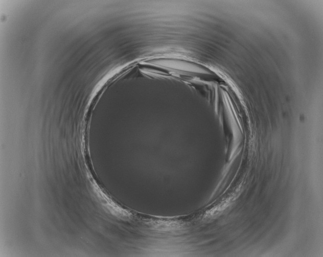X0000085220941200703231529