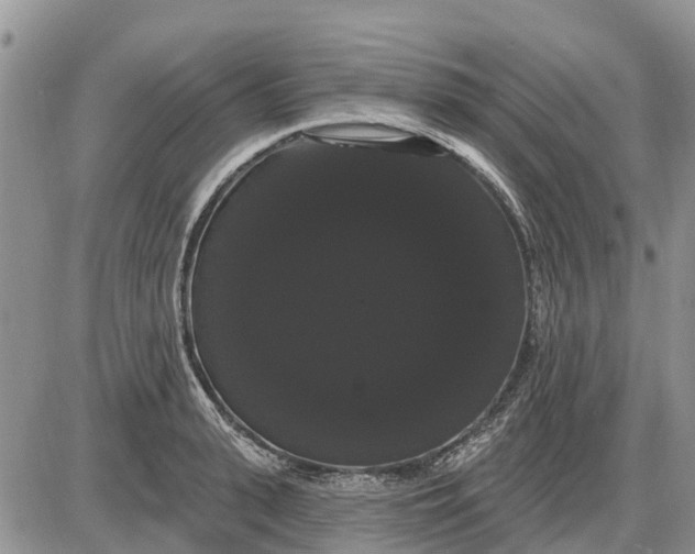 X0000085220943200703231529