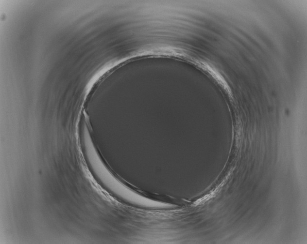 X0000085220944200703231529