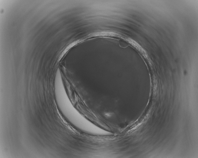 X0000085220945200703231529