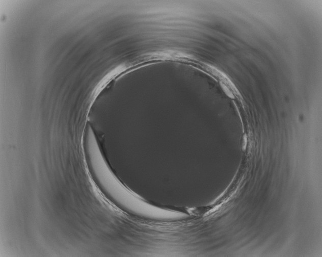 X0000085220946200703231529