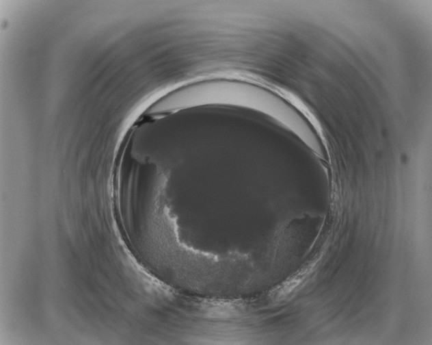 X0000085220951200703231529