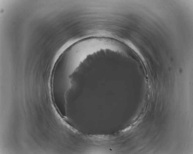 X0000085220959200703231529