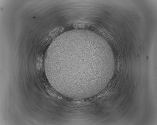 X0000085220964200703231528