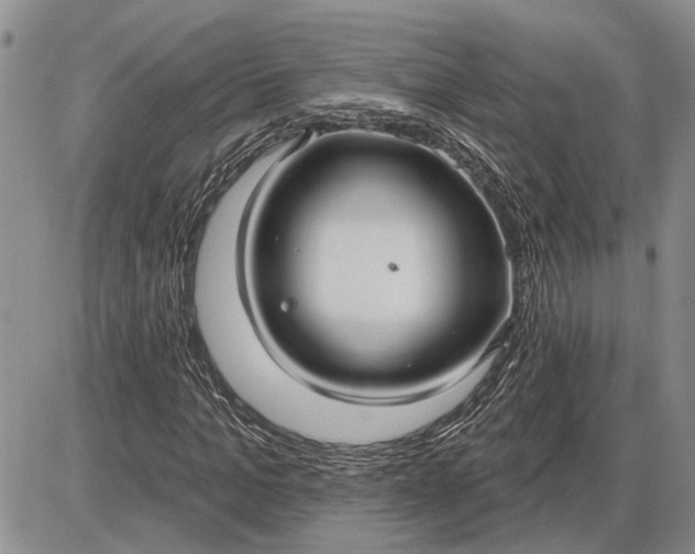 X0000085220965200703231528