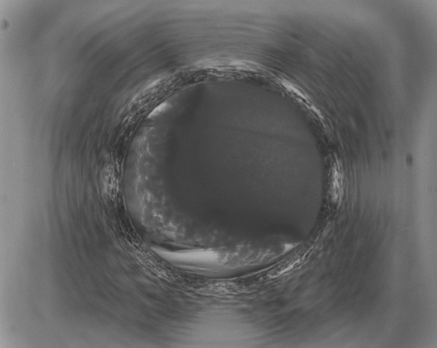 X0000085220966200703231528