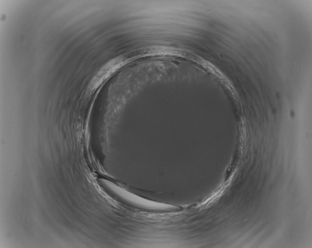 X0000085220985200703231528