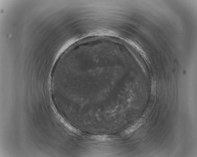 X0000085220990200703231528