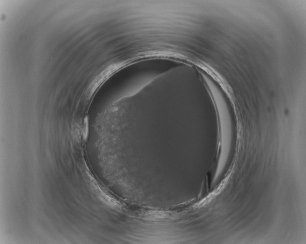 X0000085220993200703231528