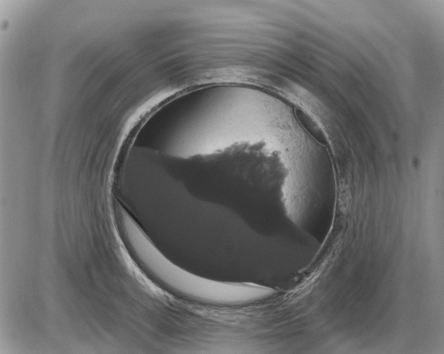 X0000085220995200703231528