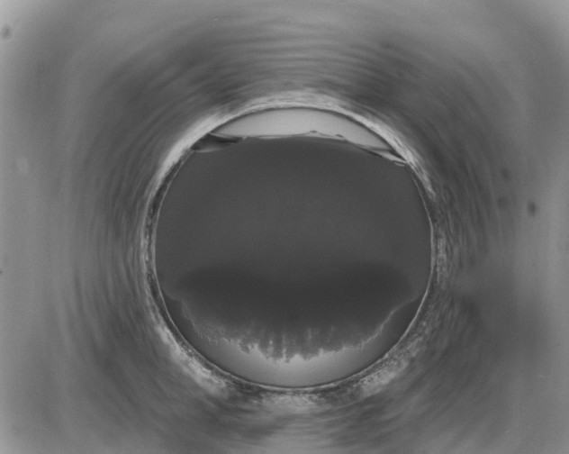 X0000085220998200703231528
