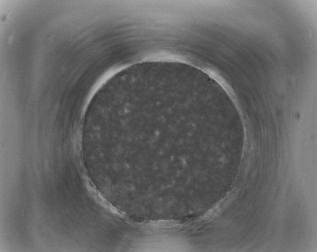 X0000085221008200703231528
