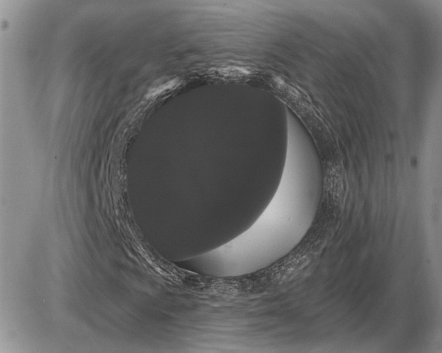 X0000085221009200703231527