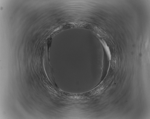 X0000085221010200703231527