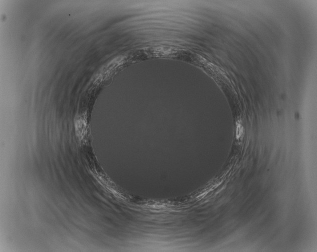 X0000085221011200703231527
