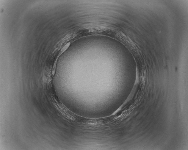 X0000085221012200703231527