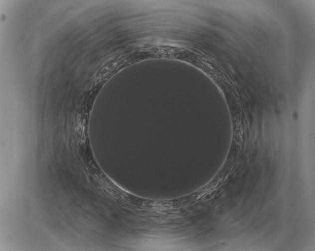 X0000085221013200703231527