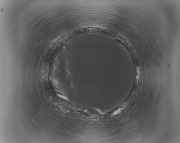 X0000085221014200703231527