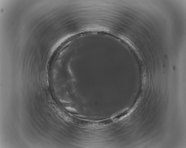 X0000085221022200703231527