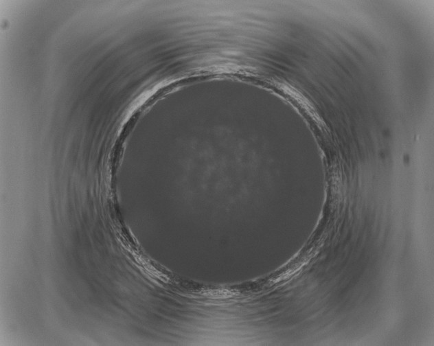 X0000085221023200703231527