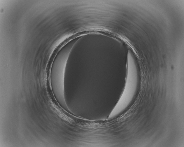 X0000085221024200703231527