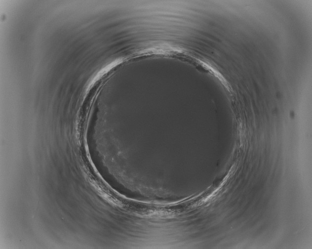 X0000085221026200703231527