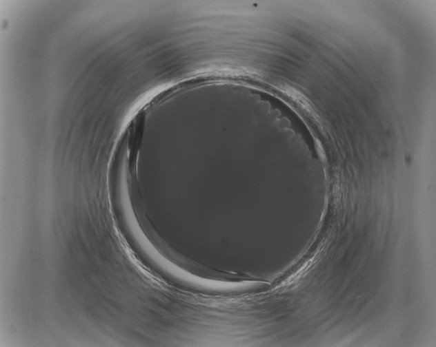 X0000085221030200703231527
