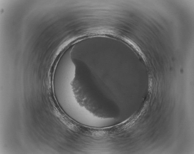 X0000085221031200703231527