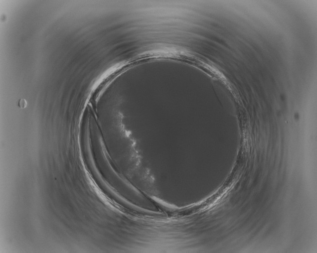X0000085221034200703231527