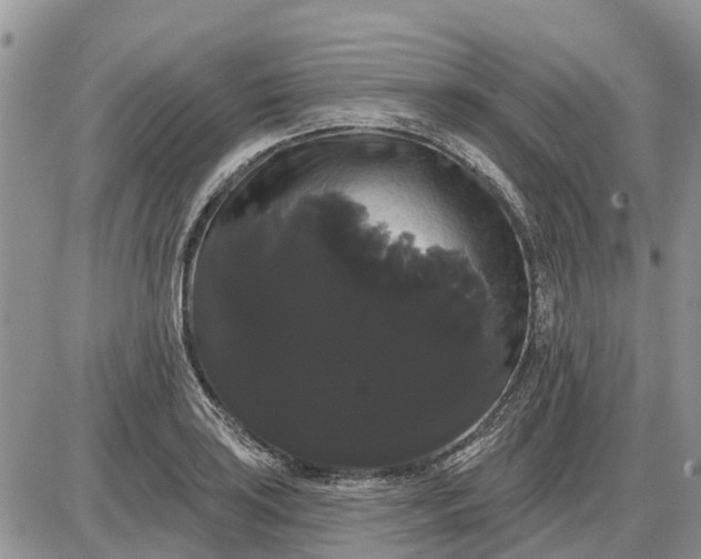 X0000085221035200703231527