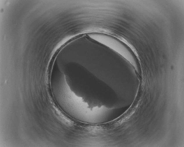X0000085221037200703231527