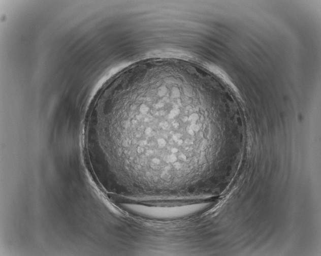X0000085221040200703231527