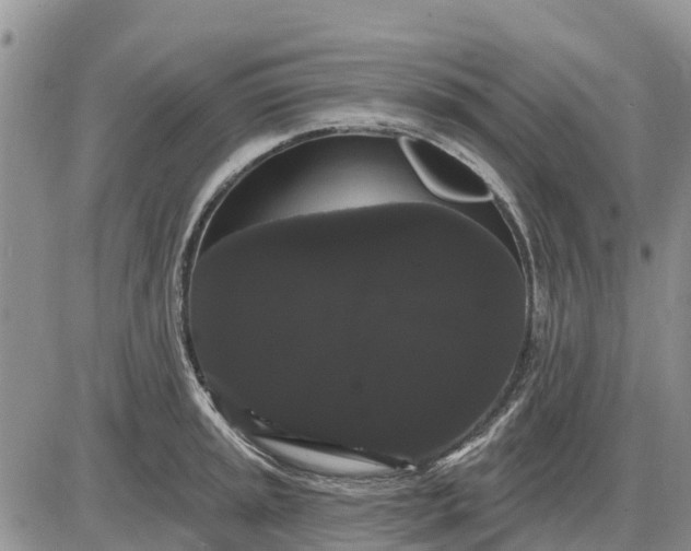 X0000085221045200703231527