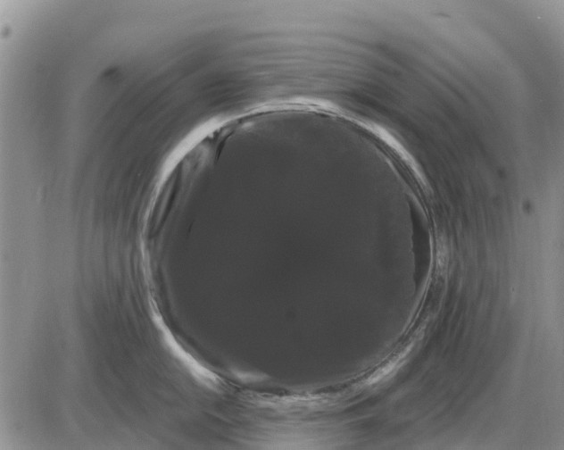 X0000085221054200703231528