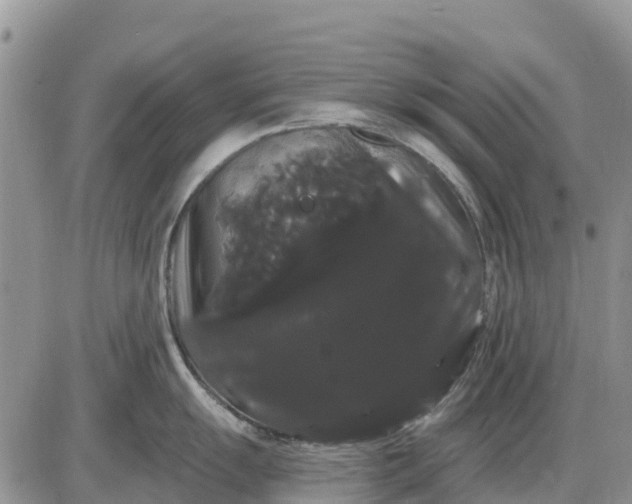 X0000085221055200703231528